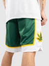 DGK Team Indica Spodenki