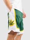 DGK Team Indica Spodenki