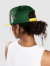 DGK Team Indica Snapback Casquette