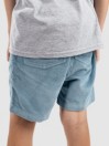 Quiksilver Taxer Cord Kids Shorts