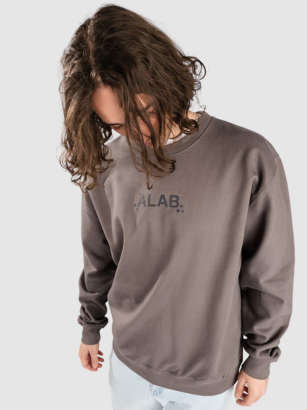 A.Lab Hate Stinks Sweater gray kaufen