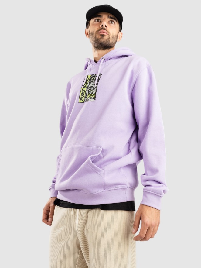 Santa Cruz Roskopp Rigid Face Front Hoodie