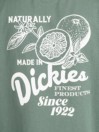 Dickies Raven T-Shirt