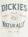 Dickies Elliston T-Shirt