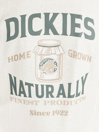 Dickies Elliston T-Shirt