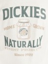 Dickies Elliston Tricko