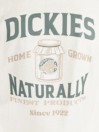 Dickies Elliston T-Shirt