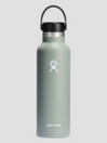 Hydro Flask 21Oz Standard Flex Cap Bouteille
