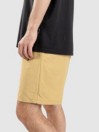 Vans Range Nylon Loose Shorts