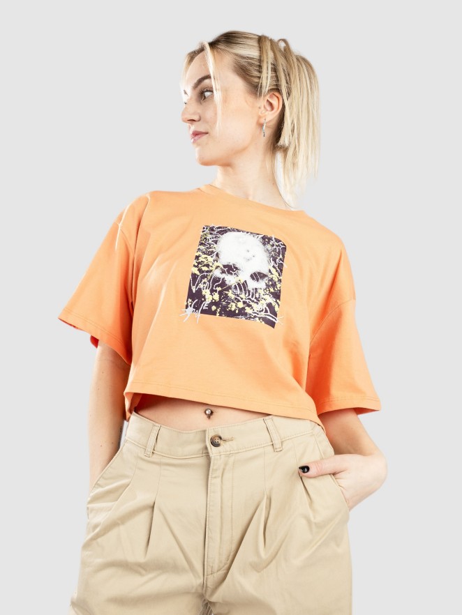 Vans Skate Classics Relax Crop T-Shirt