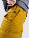 Nike Sb Kearny Shorts