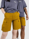 Nike Sb Kearny Shorts