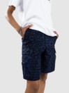 Nike Sb Kearny Shorts