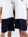 Nike Sb Kearny Shorts