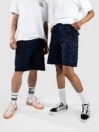 Nike Sb Kearny Short