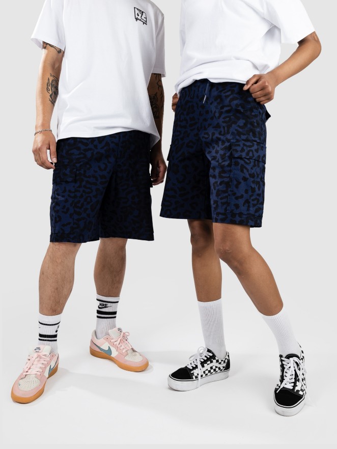 Nike Sb Kearny Short