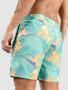 Hurley Cannonball Volley 17″ Boardshorts
