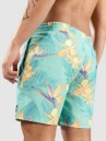 Hurley Cannonball Volley 17″ Boardshorts