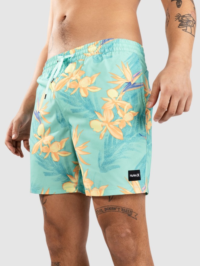 Hurley Cannonball Volley 17" Boardshorts