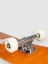 Arbor Street 8.25″ Logo Skateboard Completo