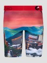 Ethika Astro Zoo Boxershorts