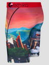 Ethika Astro Zoo Boxershorts