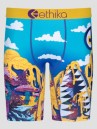 Ethika Bmr Time Travel Boxershorts