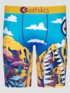 Ethika Bmr Time Travel Calzoncillos