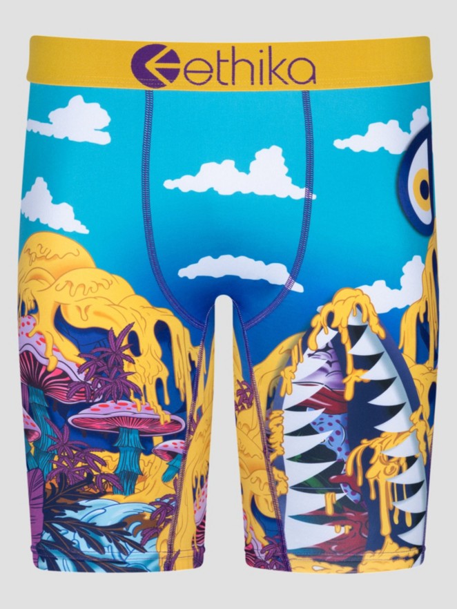 Ethika Bmr Time Travel Calzoncillos
