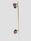 Santa Cruz Foxy Sun 33″ Pintail Complete