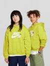 Nike Sb Icon Fleece Kids Hoodie