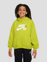 Nike Sb Icon Fleece Kids Hættetrøje