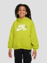 Nike Sb Icon Fleece Kids Hættetrøje