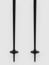 Armada Triad Ski Poles