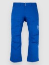 Burton ak Gore Swash Pants