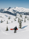Nitro Alternator 2025 Snowboard