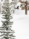 Lib Tech TRS 2025 Snowboard