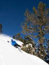 Lib Tech Dynamo 2025 Snowboard