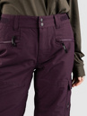 O'Neill Utility Pro Loose Snow Housut