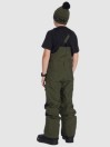 DC Roadblock Bib Pants