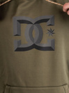 DC Snowstar Shred Hoodie