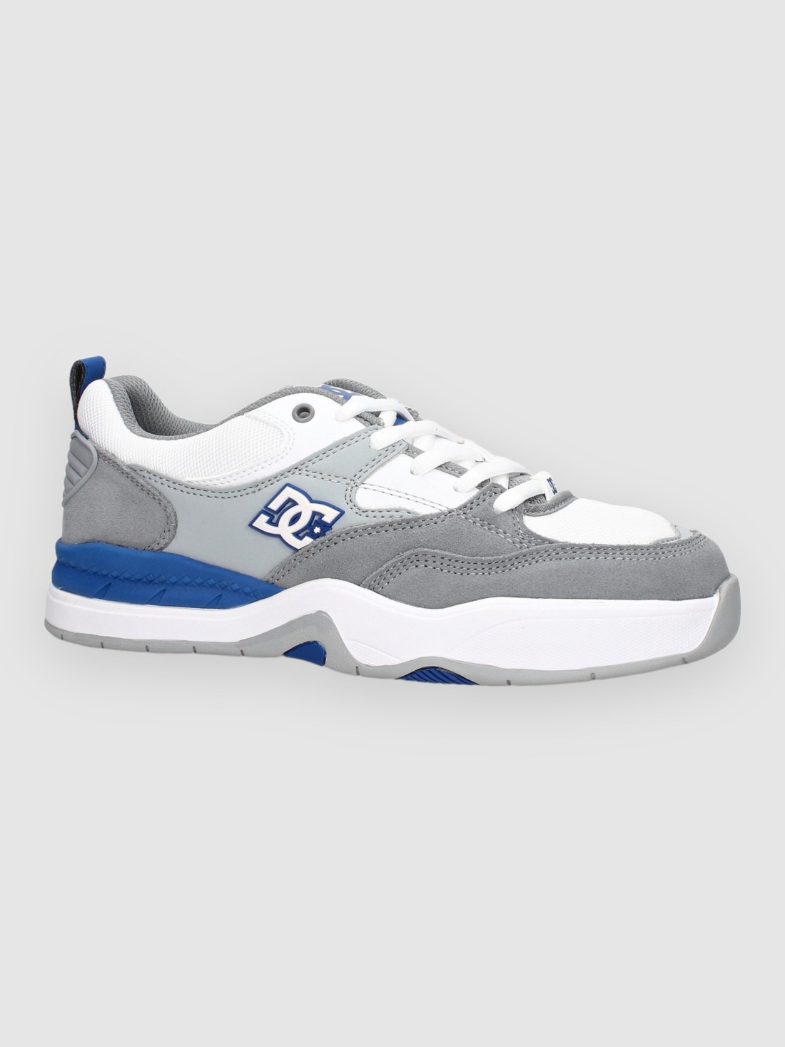 DC Ascend Skateschuhe blue