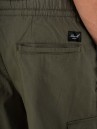 REELL Para Cargo Long Pants