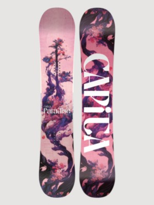 Paradise 2025 Snowboard