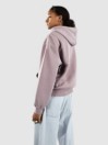 Element Cornell 3.0 Po Hoodie