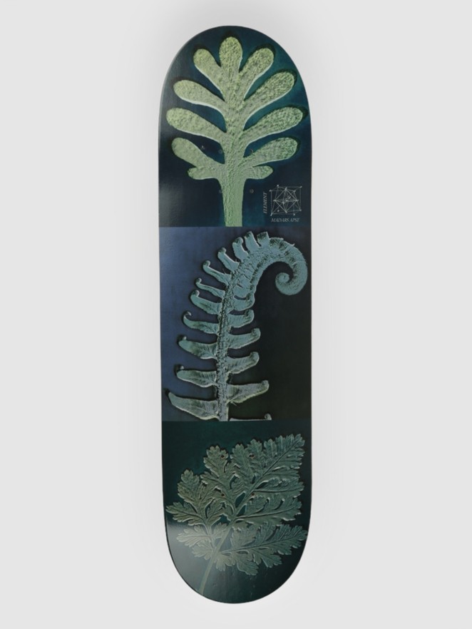 Element Leaves Madars Apse 8.38" Skateboard deck