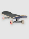 Almost Dot Box Fp 7.75″ Complete