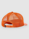 Patagonia P-6 Logo Trucker Keps