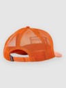 Patagonia P-6 Logo Trucker Keps