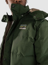 Patagonia Downdrift Jacket